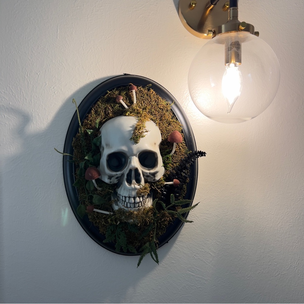 NWT - 14" Hanging Framed Skull Halloween Decorative Prop - Hyde & EEK! Boutique™ - Picture 6 of 9